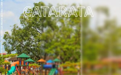 Catarata – quem nunca ouviu falar?
